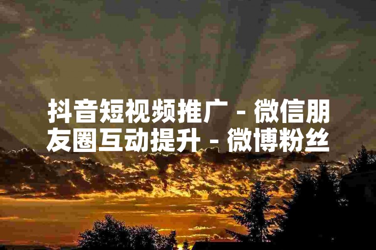 抖音短视频推广 - 微信朋友圈互动提升 - 微博粉丝增长服务