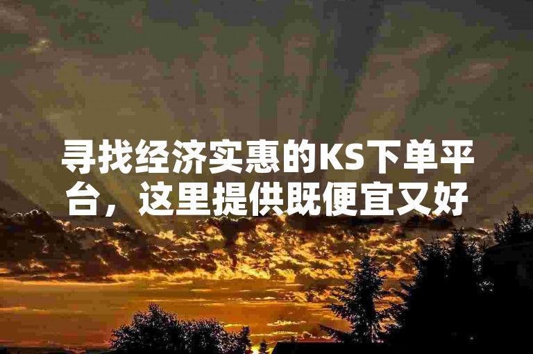 寻找经济实惠的KS下单平台，这里提供既便宜又好用的服务。