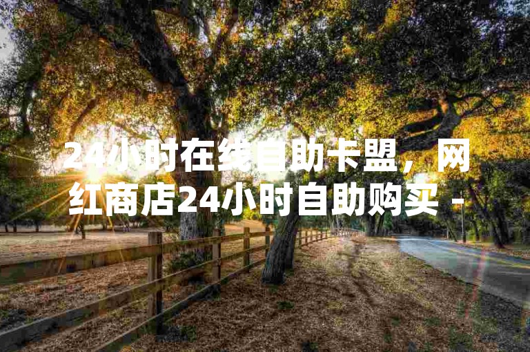 24小时在线自助卡盟，网红商店24小时自助购买 - qq空间动态说说点赞免费 - 抖音业务下单24小时自助服务流程。