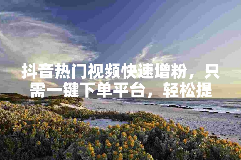 抖音热门视频快速增粉，只需一键下单平台，轻松提升点赞和播放量。