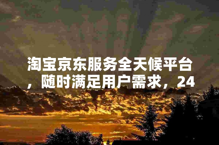 淘宝京东服务全天候平台，随时满足用户需求，24小时不打烊。