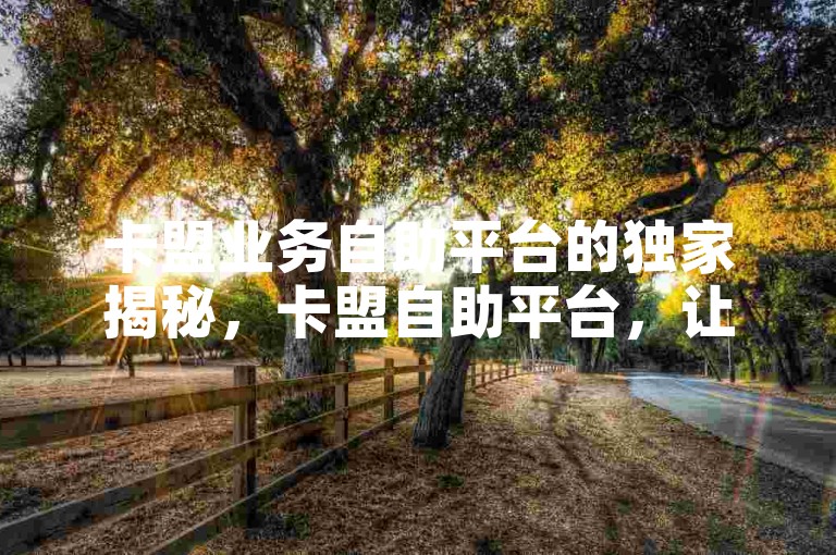 卡盟业务自助平台的独家揭秘，卡盟自助平台，让您轻松开展业务！2025必学