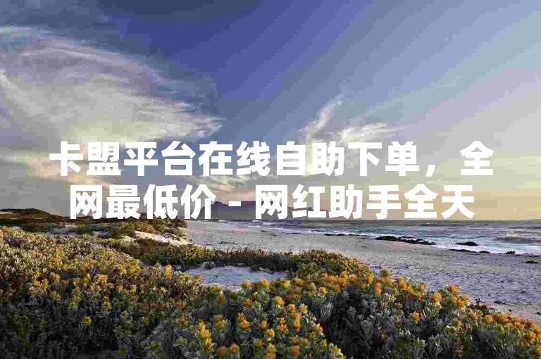 卡盟平台在线自助下单，全网最低价 - 网红助手全天候服务 - 24小时自助卡盟平台。
