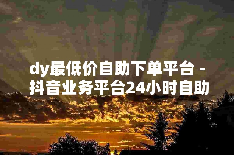 dy最低价自助下单平台 - 抖音业务平台24小时自助下单