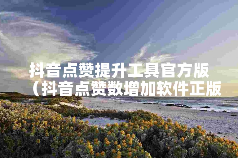 抖音点赞提升工具官方版（抖音点赞数增加软件正版下载指南）