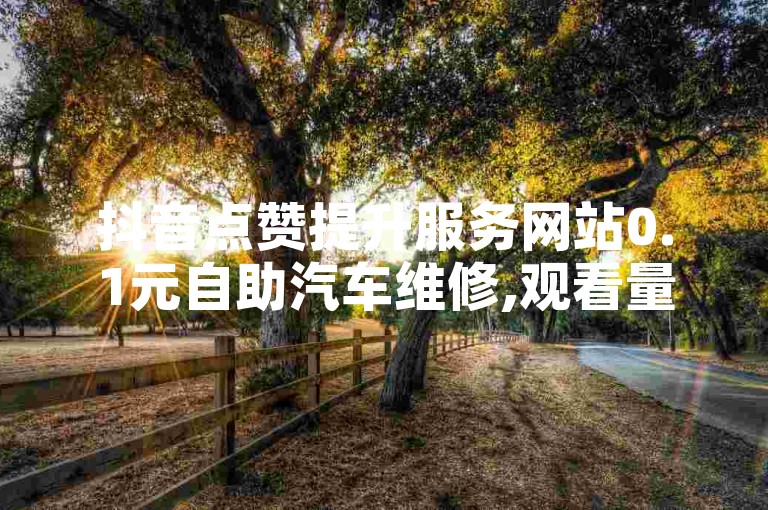 抖音点赞提升服务网站0.1元自助汽车维修,观看量购买平台。