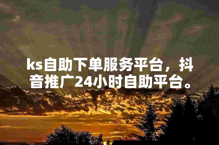 ks自助下单服务平台，抖音推广24小时自助平台。