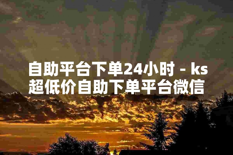 自助平台下单24小时 - ks超低价自助下单平台微信可以