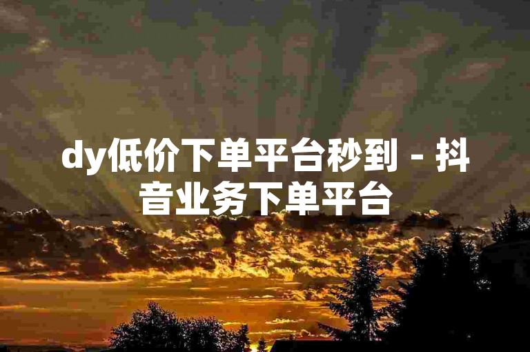 dy低价下单平台秒到 - 抖音业务下单平台