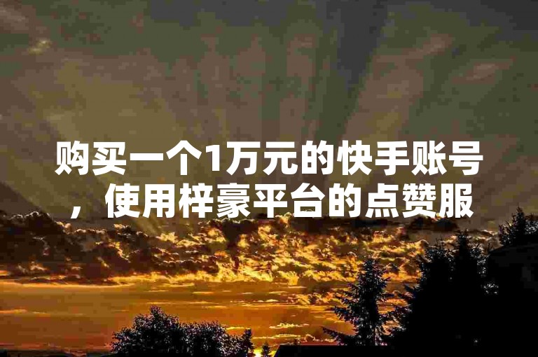 购买一个1万元的快手账号，使用梓豪平台的点赞服务，通过全国重名查询系统入口进行查找。