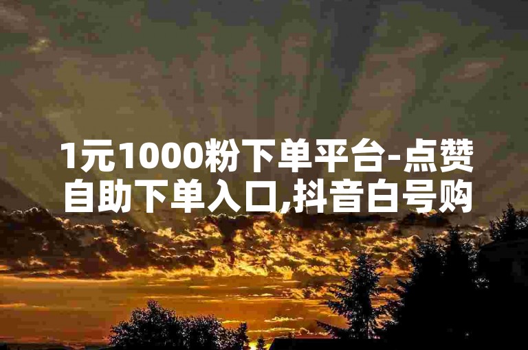 1元1000粉下单平台-点赞自助下单入口,抖音白号购买