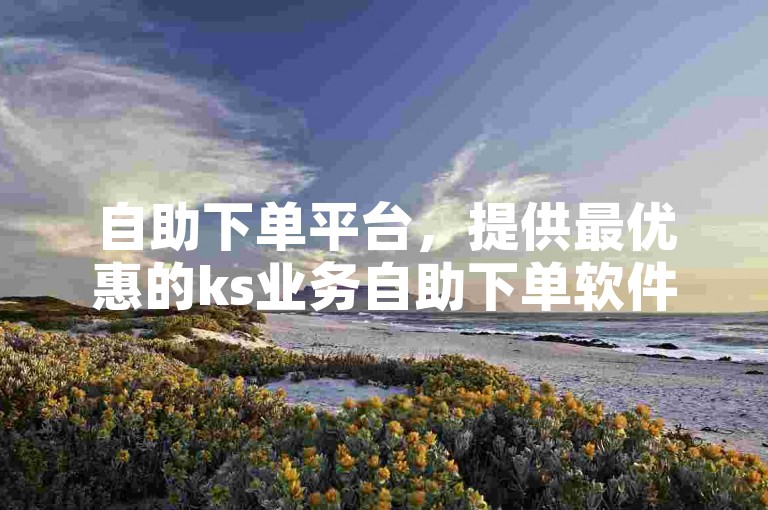 自助下单平台，提供最优惠的ks业务自助下单软件服务。