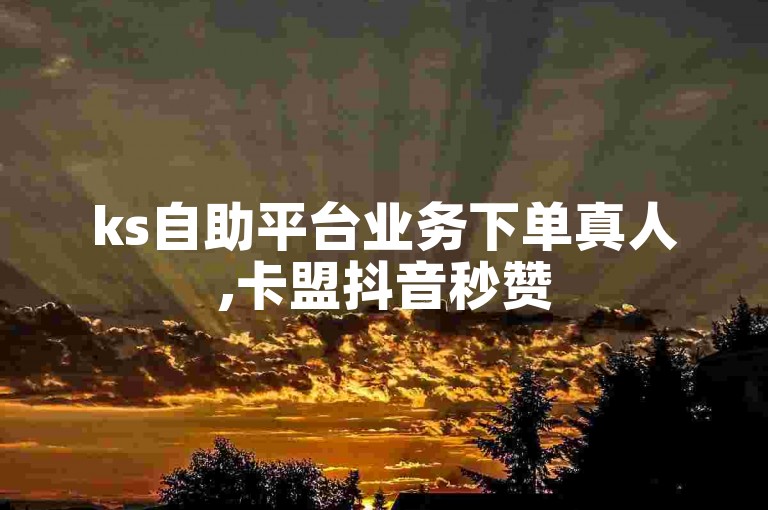 ks自助平台业务下单真人,卡盟抖音秒赞