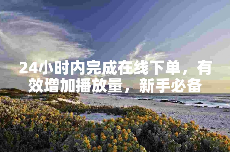 24小时内完成在线下单，有效增加播放量，新手必备策略！