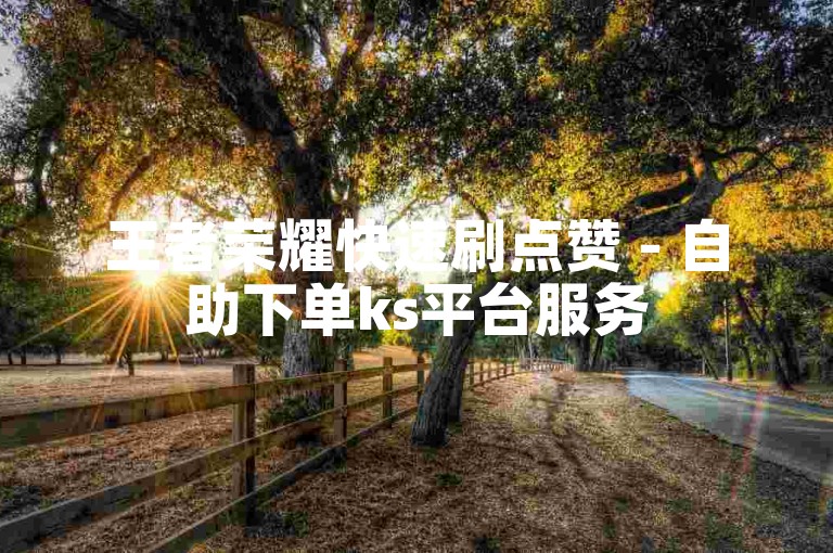 王者荣耀快速刷点赞 - 自助下单ks平台服务