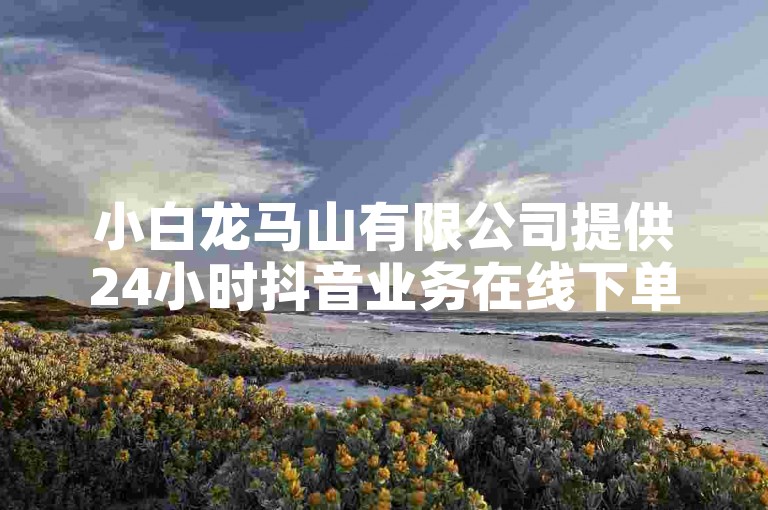 小白龙马山有限公司提供24小时抖音业务在线下单服务，价格低至0.01元。