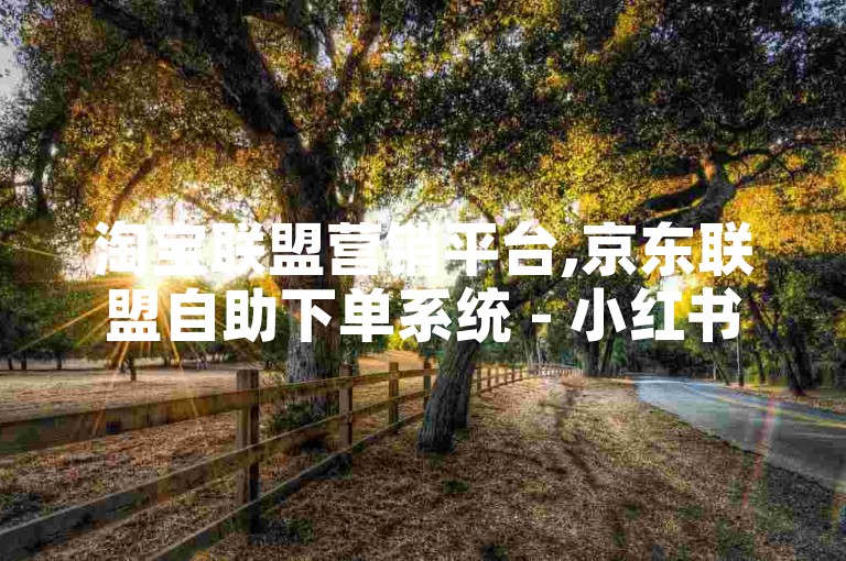 淘宝联盟营销平台,京东联盟自助下单系统 - 小红书推广24小时服务 - 微视业务优惠自助下单工具