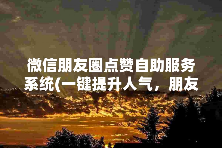 微信朋友圈点赞自助服务系统(一键提升人气，朋友圈点赞领先一步！)