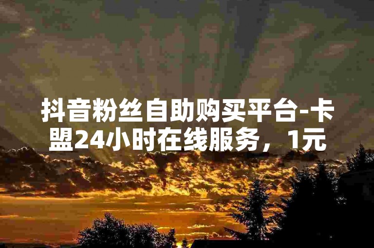 抖音粉丝自助购买平台-卡盟24小时在线服务，1元可买100粉。