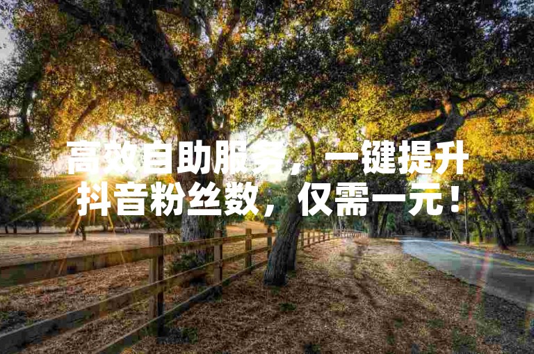 高效自助服务，一键提升抖音粉丝数，仅需一元！