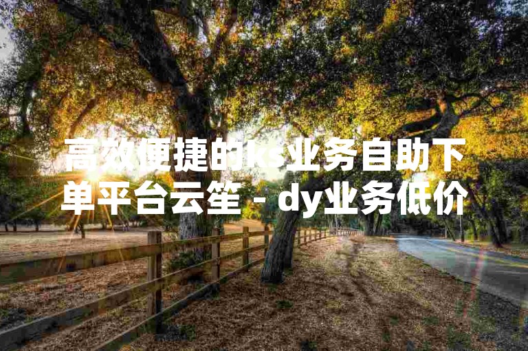 高效便捷的ks业务自助下单平台云笙 - dy业务低价自助下单软件。