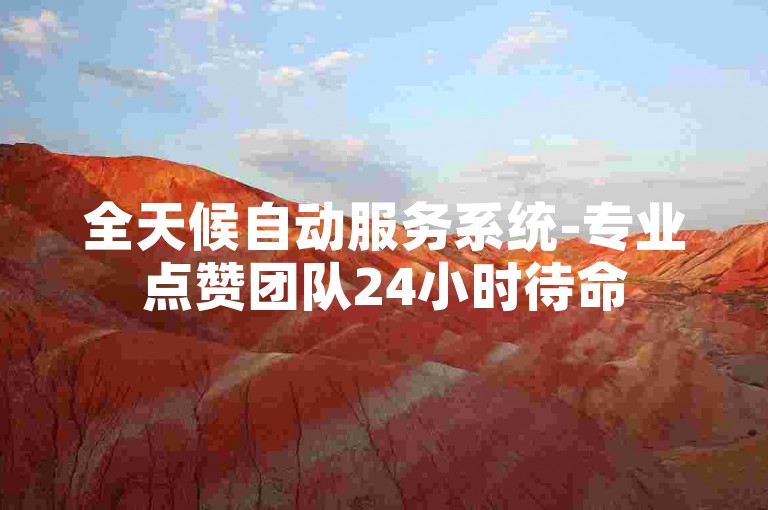 全天候自动服务系统-专业点赞团队24小时待命