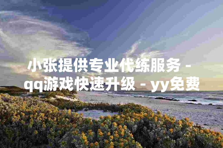 小张提供专业代练服务 - qq游戏快速升级 - yy免费自助下单系统。