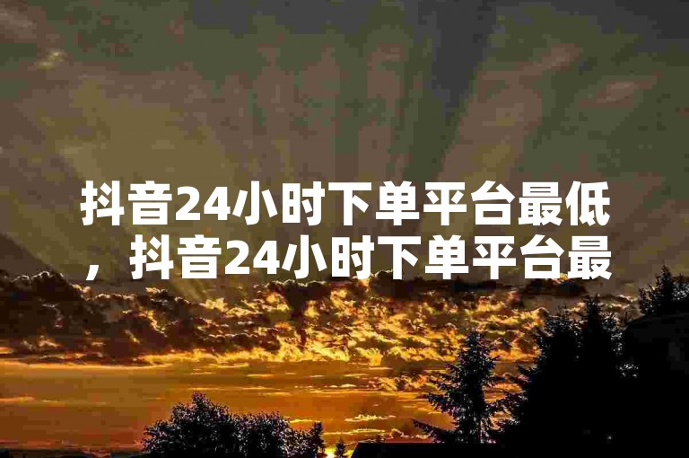 抖音24小时下单平台最低，抖音24小时下单平台最低价格揭秘？