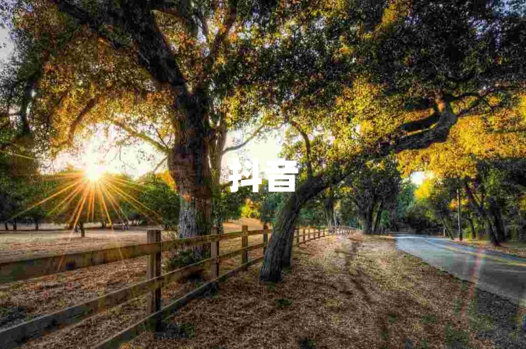 抖音500粉丝在线(抖音粉丝数达500，在线活跃度良好)