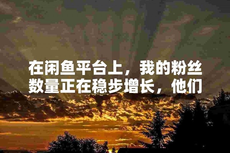 在闲鱼平台上，我的粉丝数量正在稳步增长，他们渴望访问网红云商城。