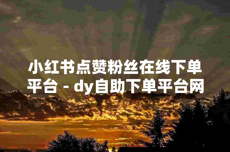 小红书点赞粉丝在线下单平台 - dy自助下单平台网站浙江