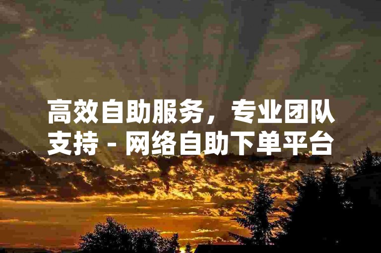高效自助服务，专业团队支持 - 网络自助下单平台dy。