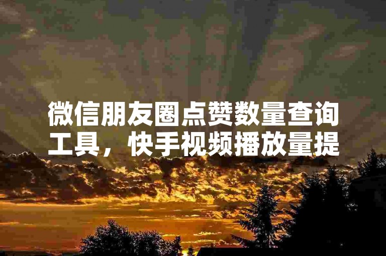 微信朋友圈点赞数量查询工具，快手视频播放量提升服务 - 5元粉丝增长入口 - 全天自助操作平台小程序。