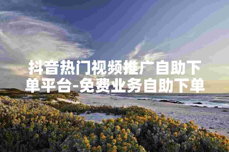 抖音热门视频推广自助下单平台-免费业务自助下单网站，Ls评论自助