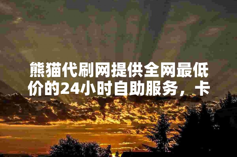 熊猫代刷网提供全网最低价的24小时自助服务，卡盟支持全天候自助下单。