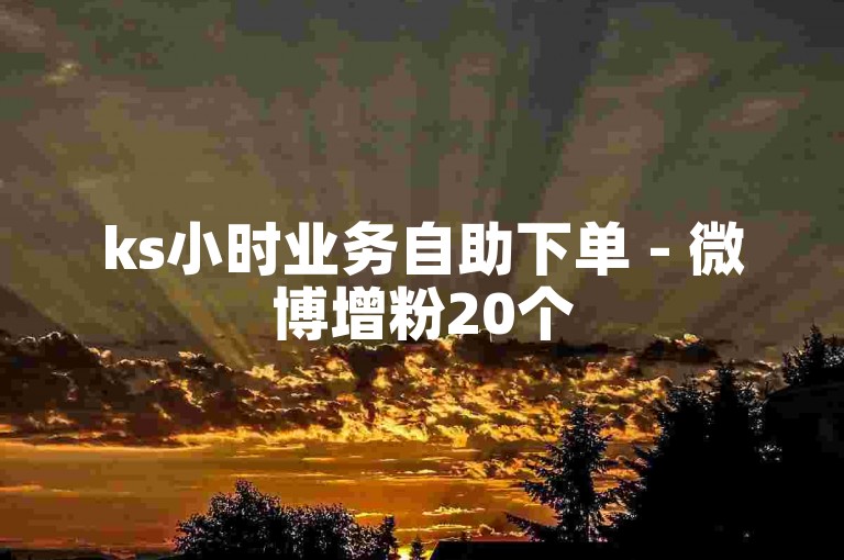 ks小时业务自助下单 - 微博增粉20个
