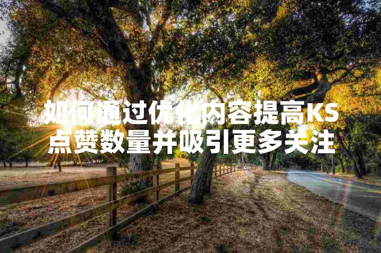 如何通过优化内容提高KS点赞数量并吸引更多关注？