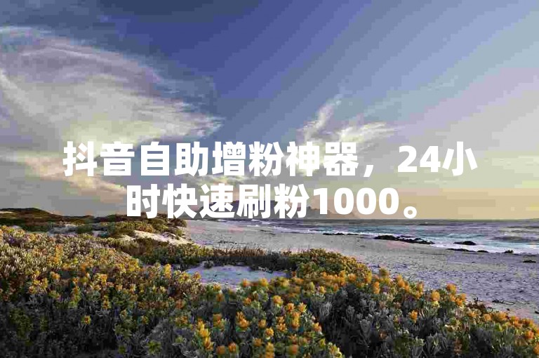 抖音自助增粉神器，24小时快速刷粉1000。