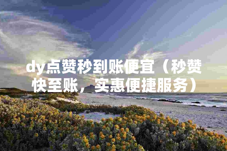dy点赞秒到账便宜（秒赞快至账，实惠便捷服务）
