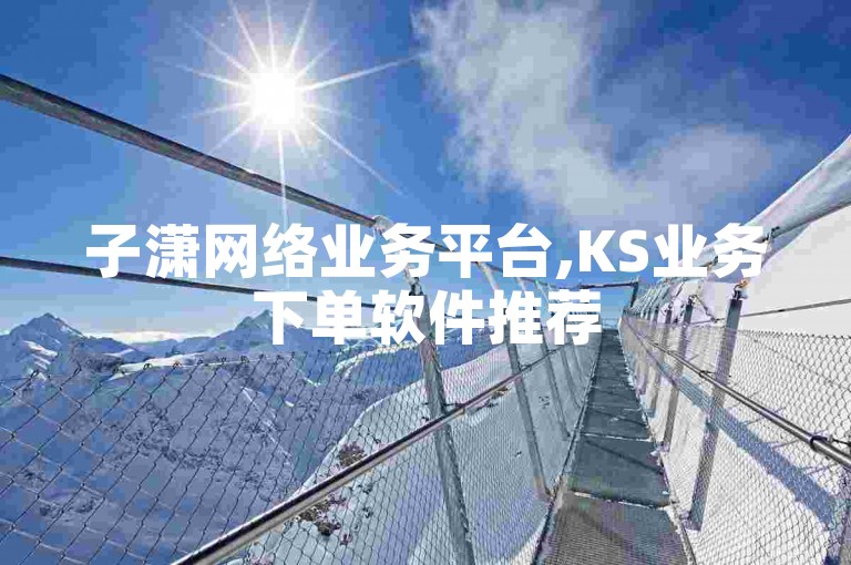 子潇网络业务平台,KS业务下单软件推荐