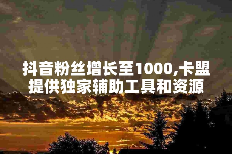 抖音粉丝增长至1000,卡盟提供独家辅助工具和资源。