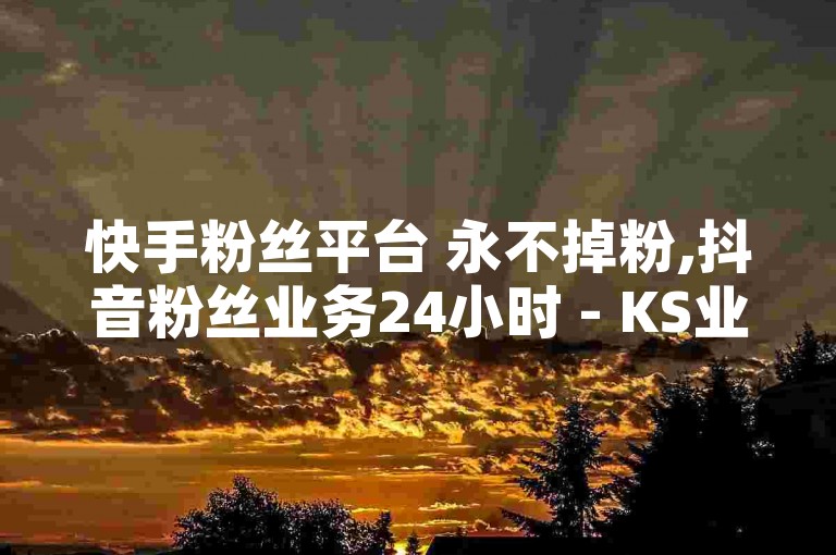 快手粉丝平台 永不掉粉,抖音粉丝业务24小时 - KS业务下单平台秒到 - 抖音卡盟网站官方入口震撼爆料