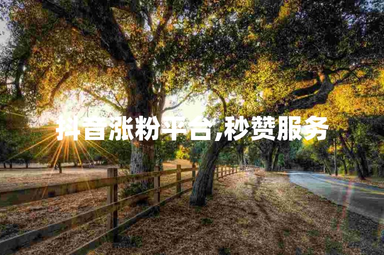 抖音涨粉平台,秒赞服务