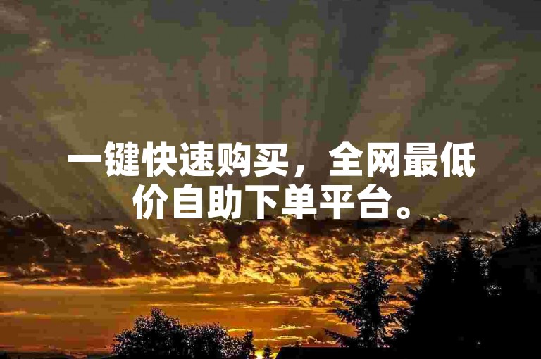 一键快速购买，全网最低价自助下单平台。