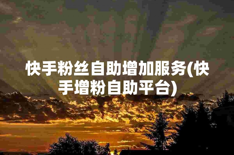 快手粉丝自助增加服务(快手增粉自助平台)