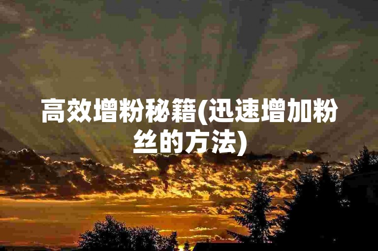 高效增粉秘籍(迅速增加粉丝的方法)