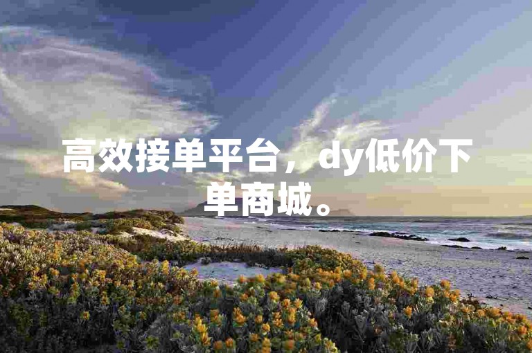 高效接单平台，dy低价下单商城。