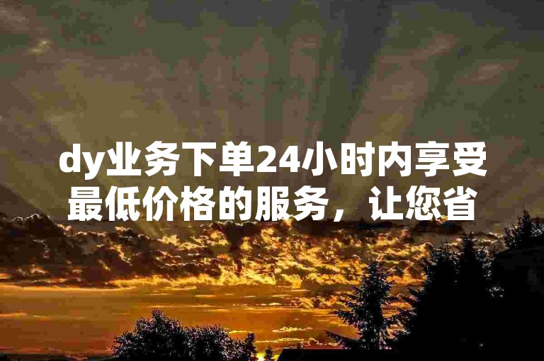 dy业务下单24小时内享受最低价格的服务，让您省钱又省心。