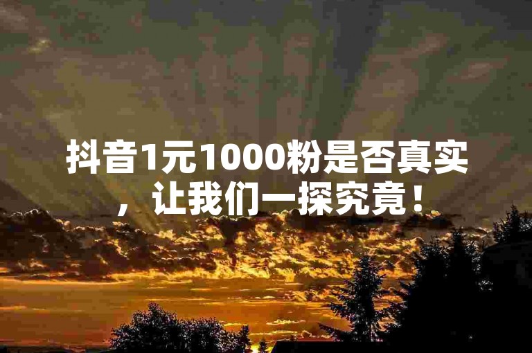 抖音1元1000粉是否真实，让我们一探究竟！