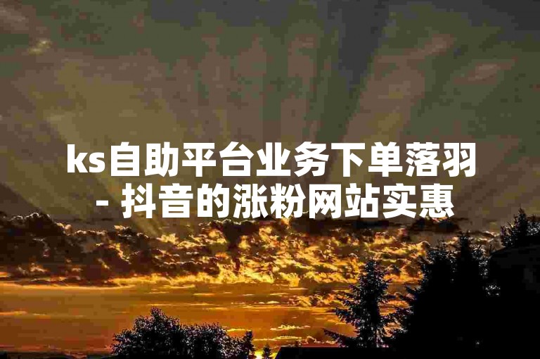 ks自助平台业务下单落羽 - 抖音的涨粉网站实惠